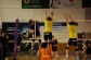 Batuti de campioni