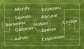 "U" - FCM Targu Mures, possible formations