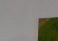 Noi poze primite pe mail