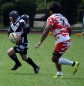 Martinescu: Salvati rugby-ul universitar din Cluj-Napoca!